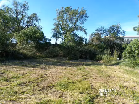 vente terrain 3816 m² à fabrezan (11200)  80 000 €