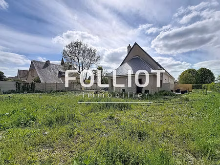 à vendre ? terrain avec fort potentiel à castine-en-plaine