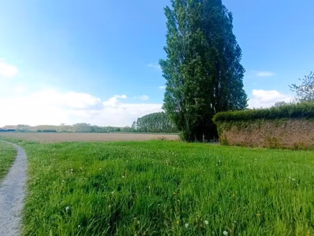 vente terrain à batir 1208 m² à faumont (59310)  140 900 €