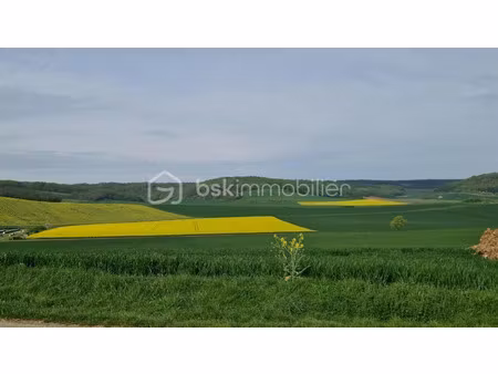 vente terrain 11574 m² à chailley (89770)  118 500 €