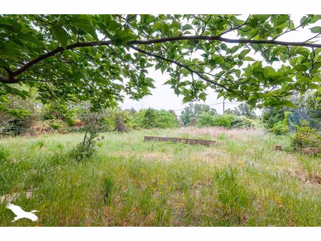 vente terrain 950 m² à aniane (34150)  192 240 €