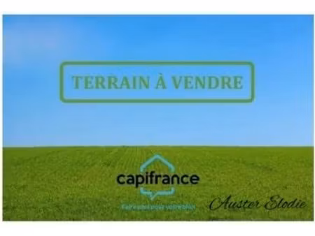 vente terrain 1981 m² à le moule (97160)  207 000 €