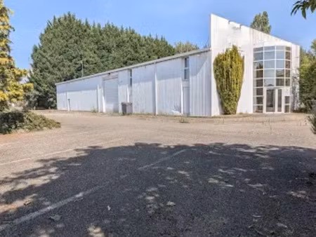 vente locaux professionnels 0 pièces 865 m² à nordhouse (67150)  670 000 €