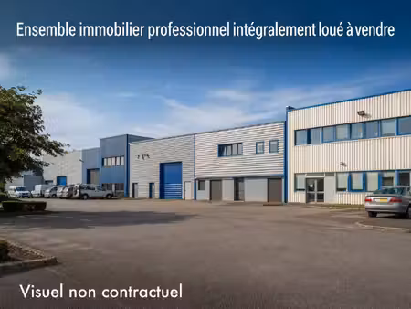 immobilier professionnel à vendre villenoy