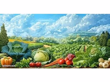 recherche terrain pour activité professionnelle