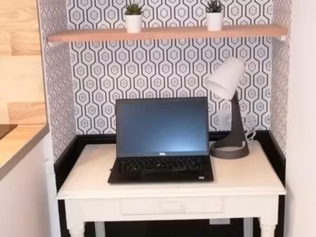 studio meublé plein centre