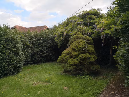 maison alsacienne 7 pièces + dépendance sur 584 m2 de terrai