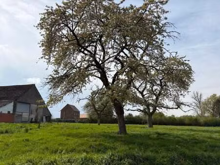 terrain à bâtir sis rue des sarts de wannebecq à wannebecq