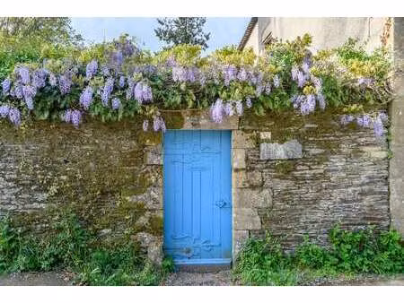 vente maison à rochefort-en-terre (56220) : à vendre / 282m² rochefort-en-terre