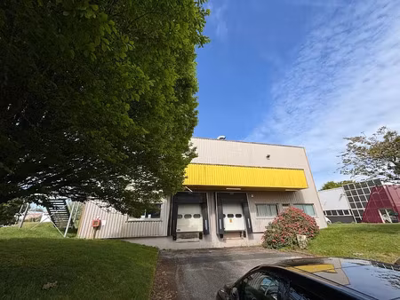 location locaux professionnels 0 pièces 1530 m² à quimper (29000)  6 800 €