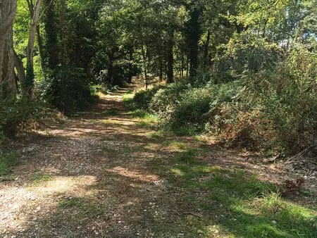 achat : terrain (85000)