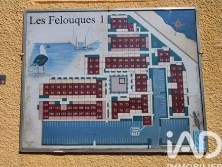 maison à fleury (11560)