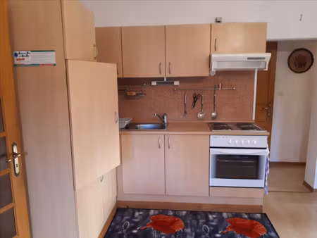 appartement t2 lobsann  terrasse + jardin