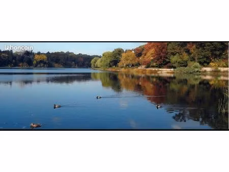 recherche étang à louer à l’année (27 / 61) – entretien assuré