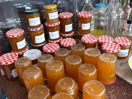 recherche  location  meublée cagnes-sur-mer