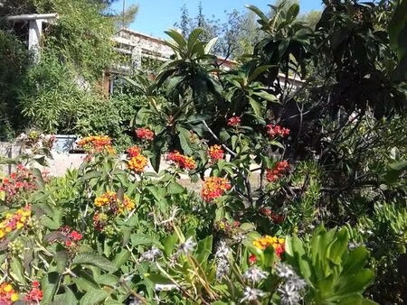 terrain de plus de 3 400 m²+ villa à fort potentiel 94 m² habitables– la ciotat – 1 200 00