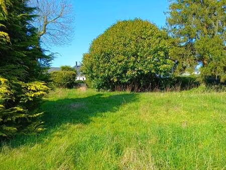 vente terrain à nostang (56690) : à vendre / 625m² nostang