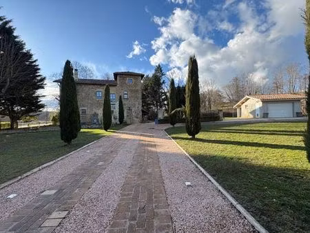 prestigieux château en vente vernioz  auvergne-rhône-alpes