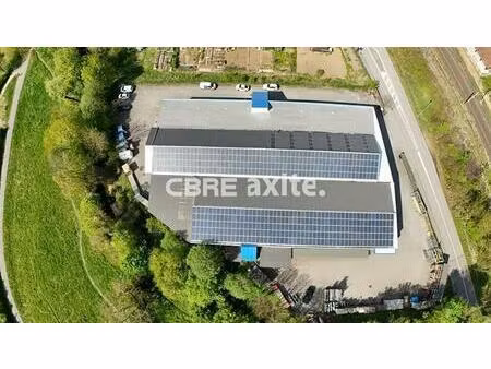 vente local d'activités barberaz 2 713 m²