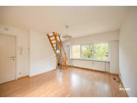 appartement te huur in brasschaat met 2 slaapkamers