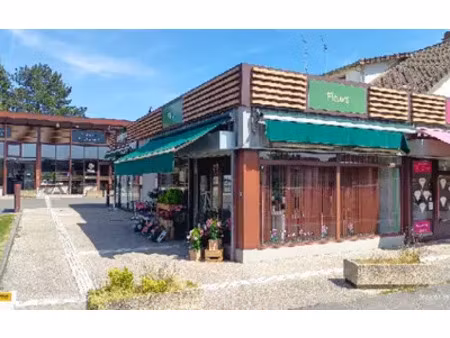 brie-comte-robert (77170)