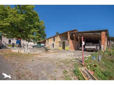 vente maison 7 pièces 140 m² à arvigna (09100)  170 000 €