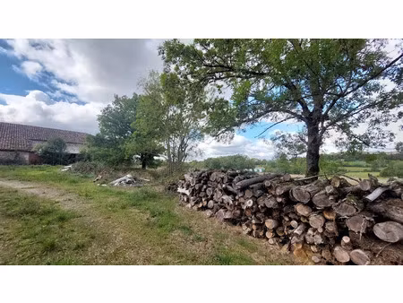 vente maison 7 pièces 220 m² à puylaroque (82240)  198 000 €