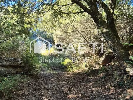 vente terrain 3800 m² albitreccia (20166)