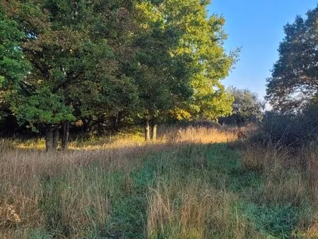 terrain 789 m² presles en brie