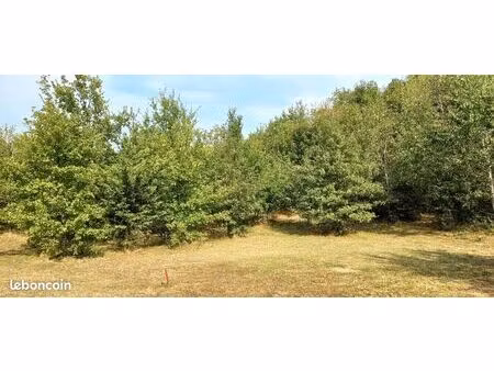 terrain 1 025 m² montdurausse