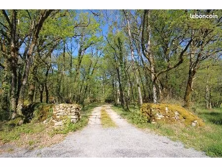 villa 7 pièces 247 m²