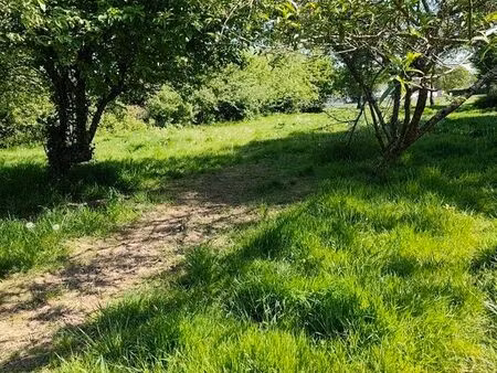 terrain 4000 m² pour pâture – chevaux / animaux – avec eau