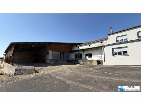 achat local commercial 1 200m² waldwisse 57480