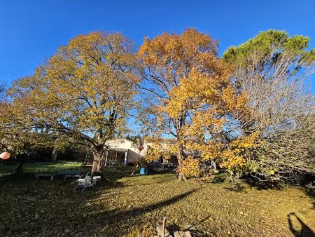 plain-pied sur grand terrain