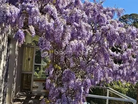 villa t7 montpellier 180m2