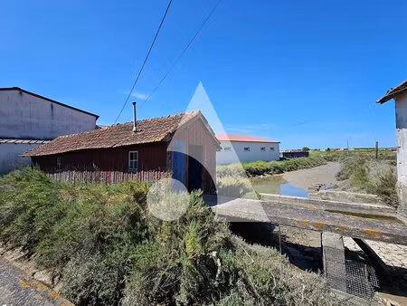 cabane ostréicole en bord de seudre