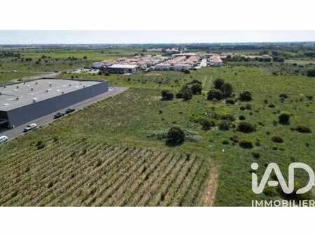 vente terrain à perpignan (66000) : à vendre / 5035m² perpignan