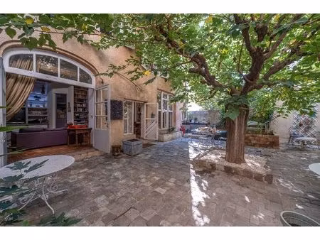 maison  appartement  et atelier + un grand extérieur au calme en pleine ville