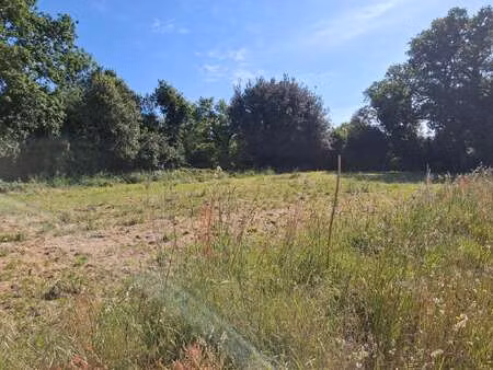 vente terrain à noyalo (56450) : à vendre / noyalo