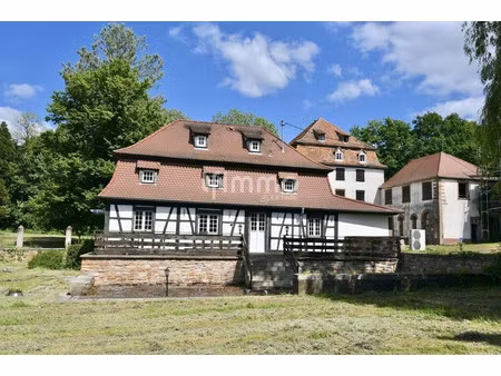 vente bâtiment 40 pièces