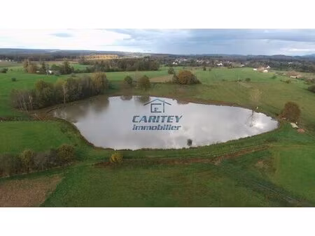 etang de 36000 m2 avec bois  dependance  terrain de petanque à magnivray axe lure-luxeuil