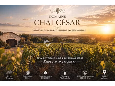 vente local commercial