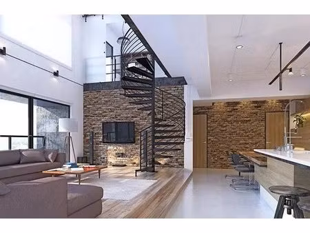 loft atypique en duplex atypique 3.5m hsp traversant