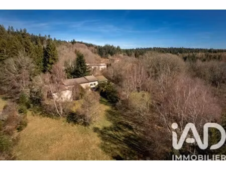 maison à saint-bonnet-le-bourg (63630)