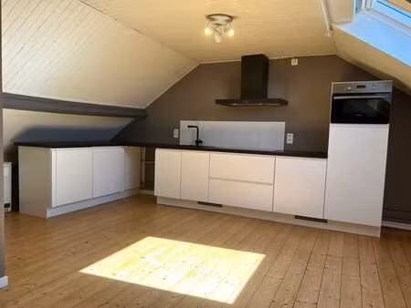 bel appartement style loft pour personne seule