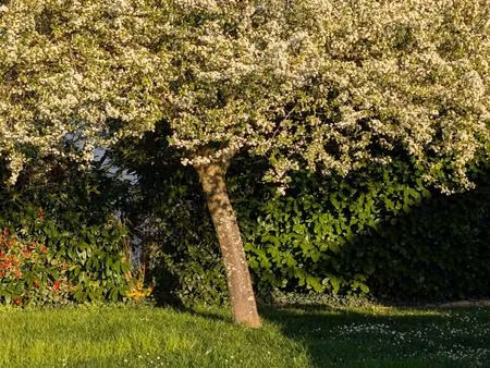 terrain plat libre constructeur hyper centre