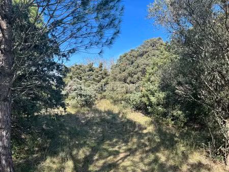 vente terrain 854 m² à saze (30650)  175 000 €