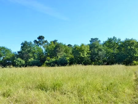 vente terrain 800 m² à camblanes-et-meynac (33360)  200 000 €