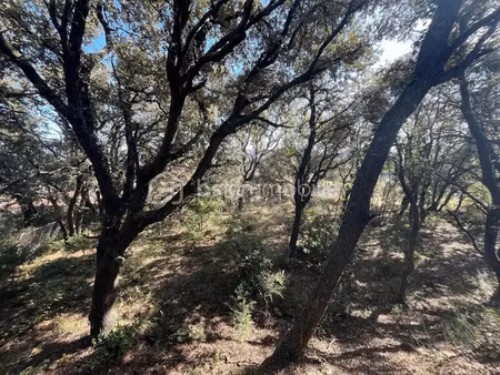 vente terrain 1572 m² à saze (30650)  219 000 €