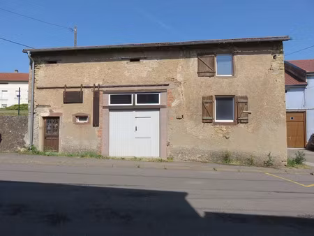 vente locaux professionnels 280 m² à halstroff (57480)  97 000 €